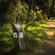 A dirt path surrounded by lush greenery and a signpost that reads ′Lord of the Rings Filming Location′